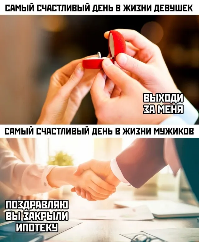 Веселуха (10/09/2023)