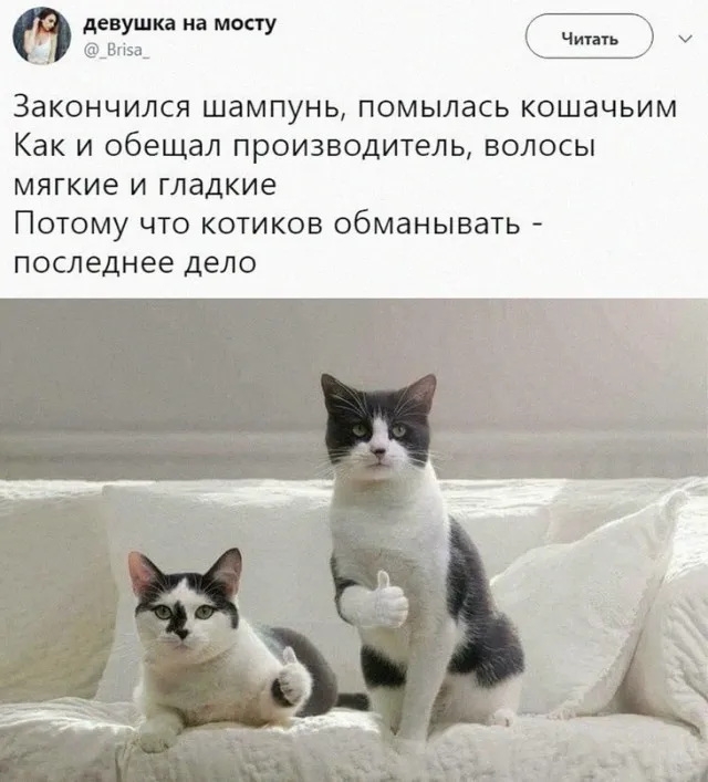 Веселуха (10/09/2023)