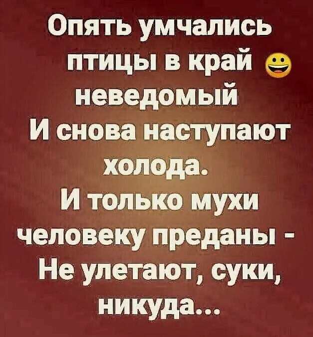 Юмор в картинках и без (11/09/2023)