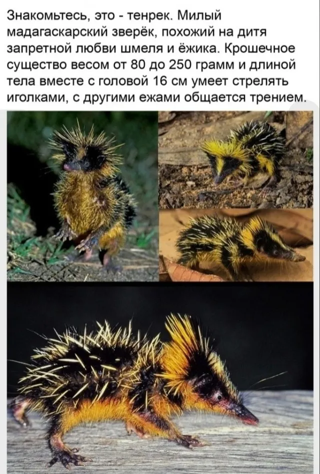 Так себе картинки Так себе картинки