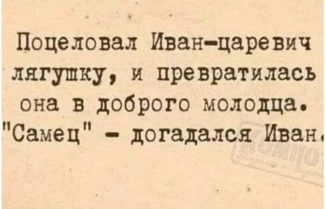Баяны (13/09/2023)