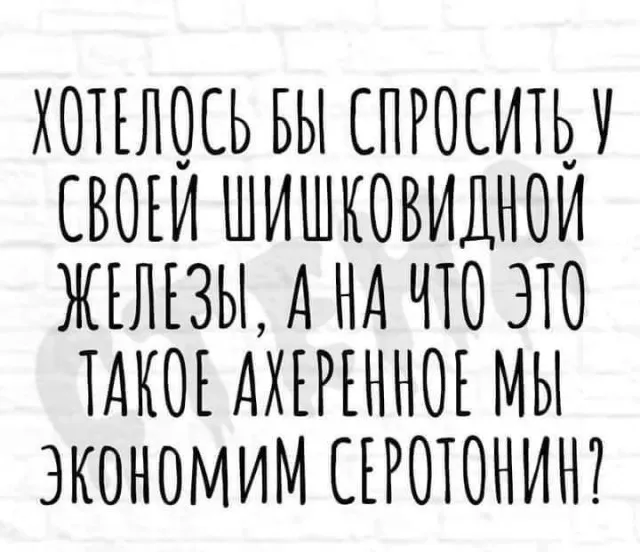 Баяны (13/09/2023)