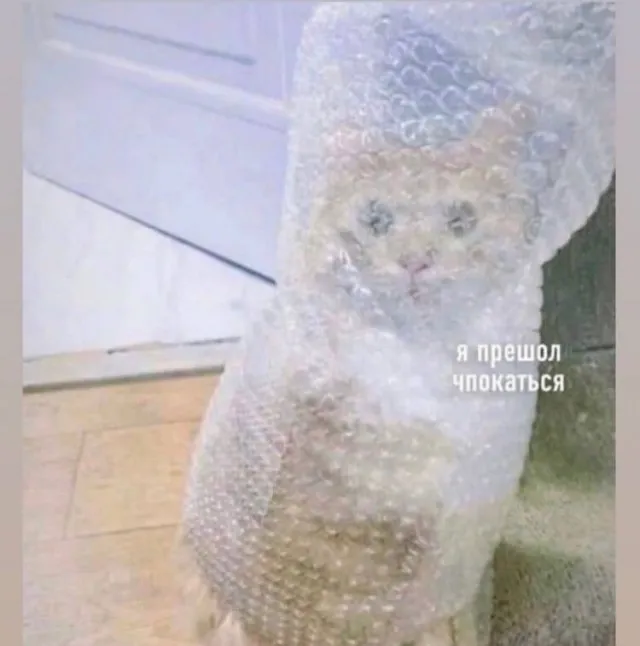 Деградация
