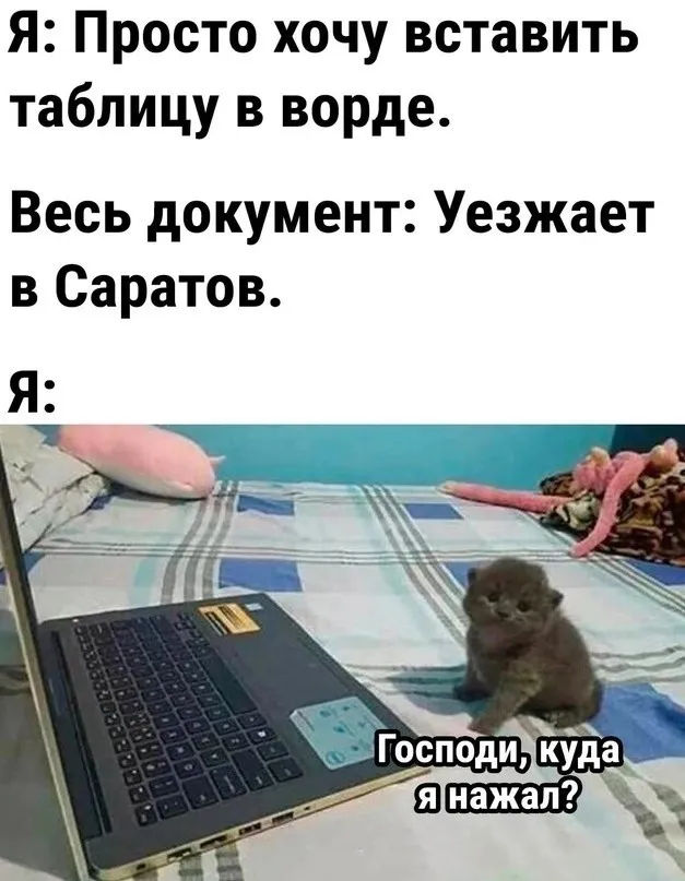 Картинки (15/09/2023)