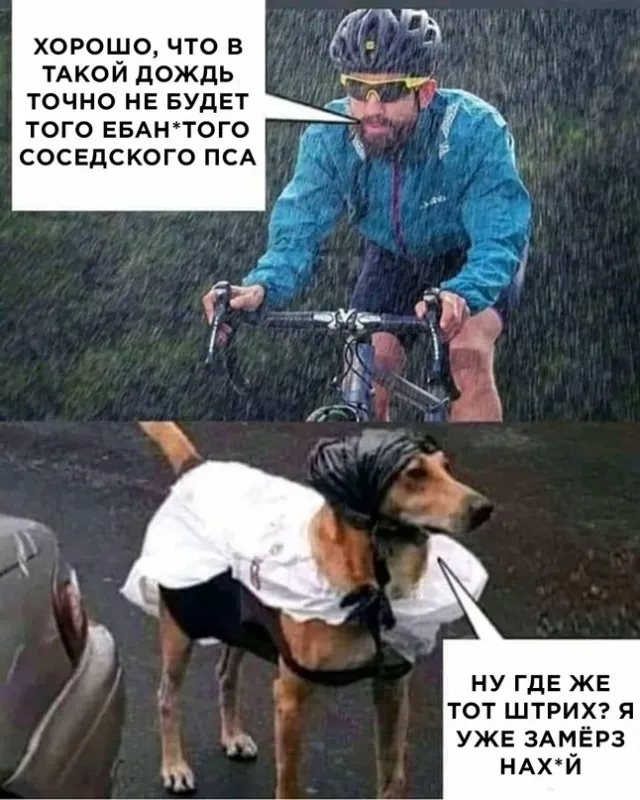 Веселуха (17/09/2023)