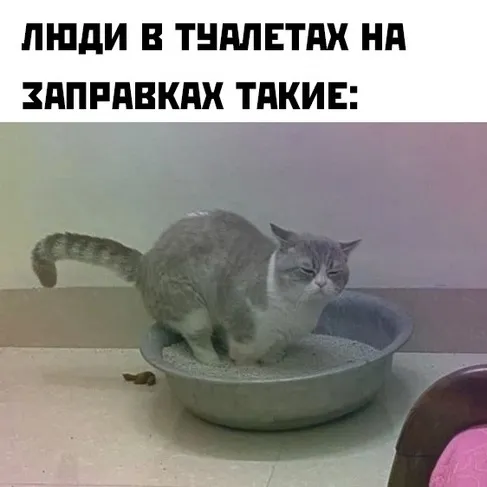 Веселуха (17/09/2023)