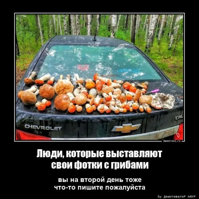 Демотиваторы Демотиваторы