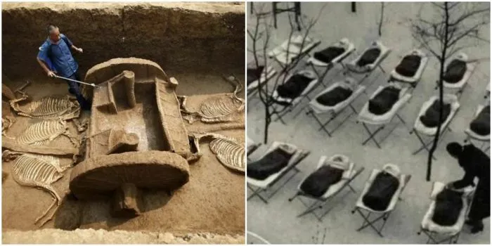 40 любопытных исторических снимков из разных эпох 40 любопытных исторических снимков из разных эпох
