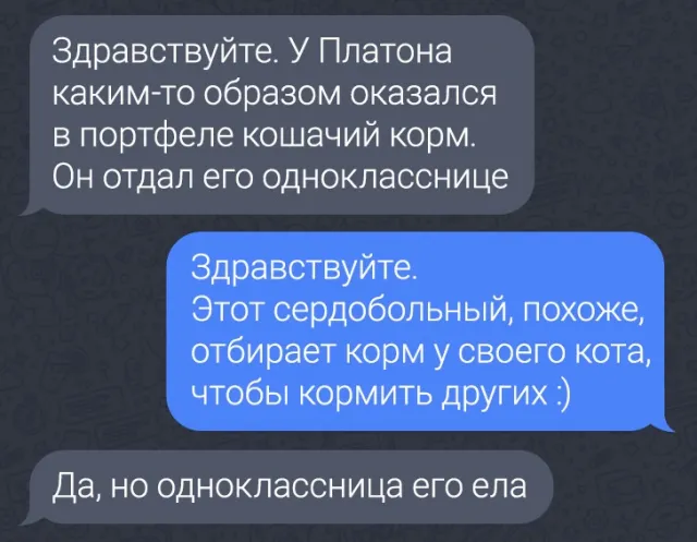 Подборка забавных переписок из родительских чатов Подборка забавных переписок из родительских чатов