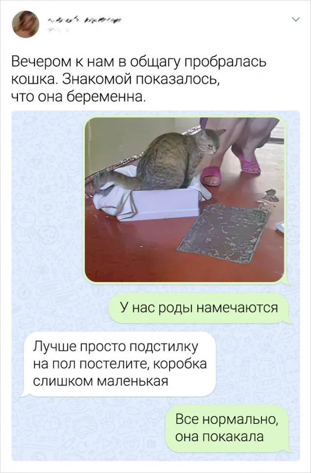 Подборка забавных переписок (15/09/2023) Подборка забавных переписок (15/09/2023)