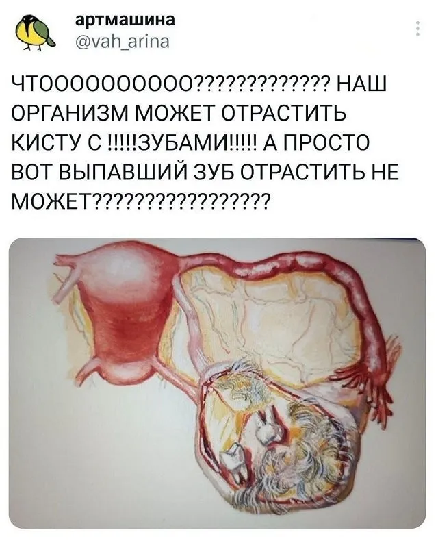 Скрины из социальных сетей - 336