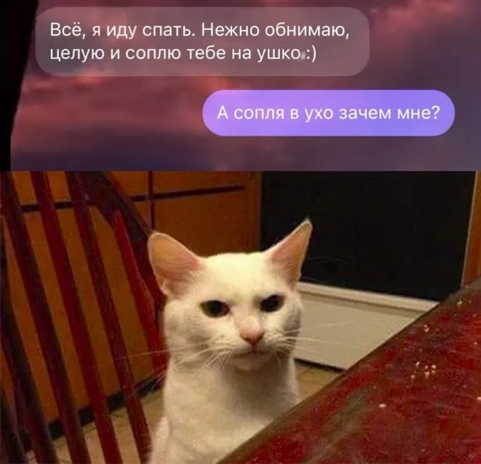 Скрины из социальных сетей - 336