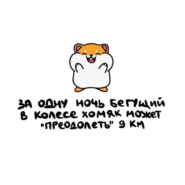 Интересные факты на все случаи жизни Интересные факты на все случаи жизни