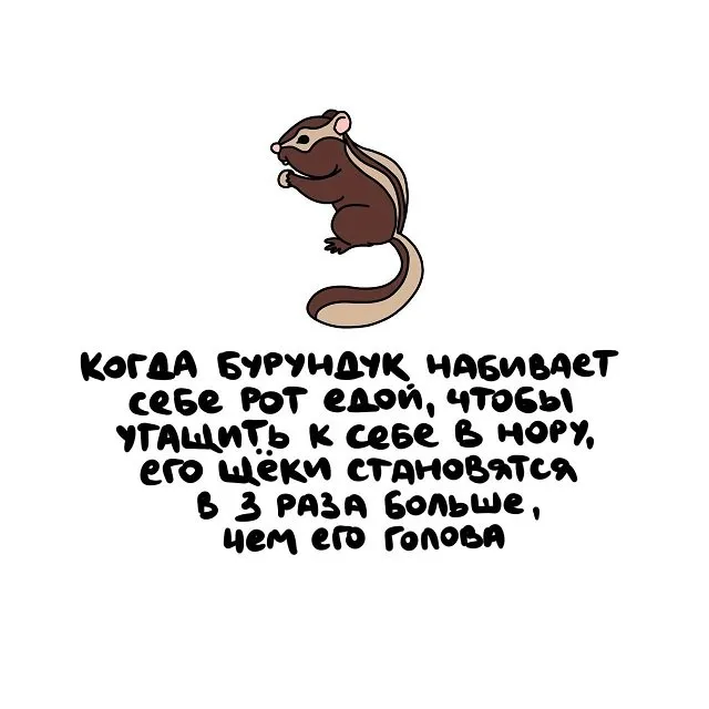 Интересные факты на все случаи жизни Интересные факты на все случаи жизни