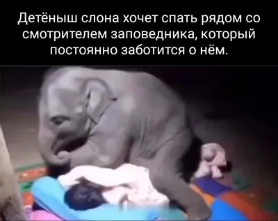 Пора спать!⁠⁠