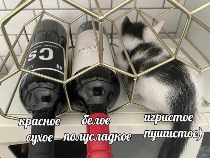 Нестандартный юмор (12/09/2023)