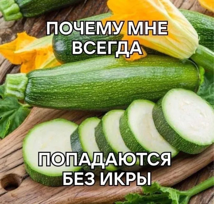 Нестандартный юмор (14/09/2023)