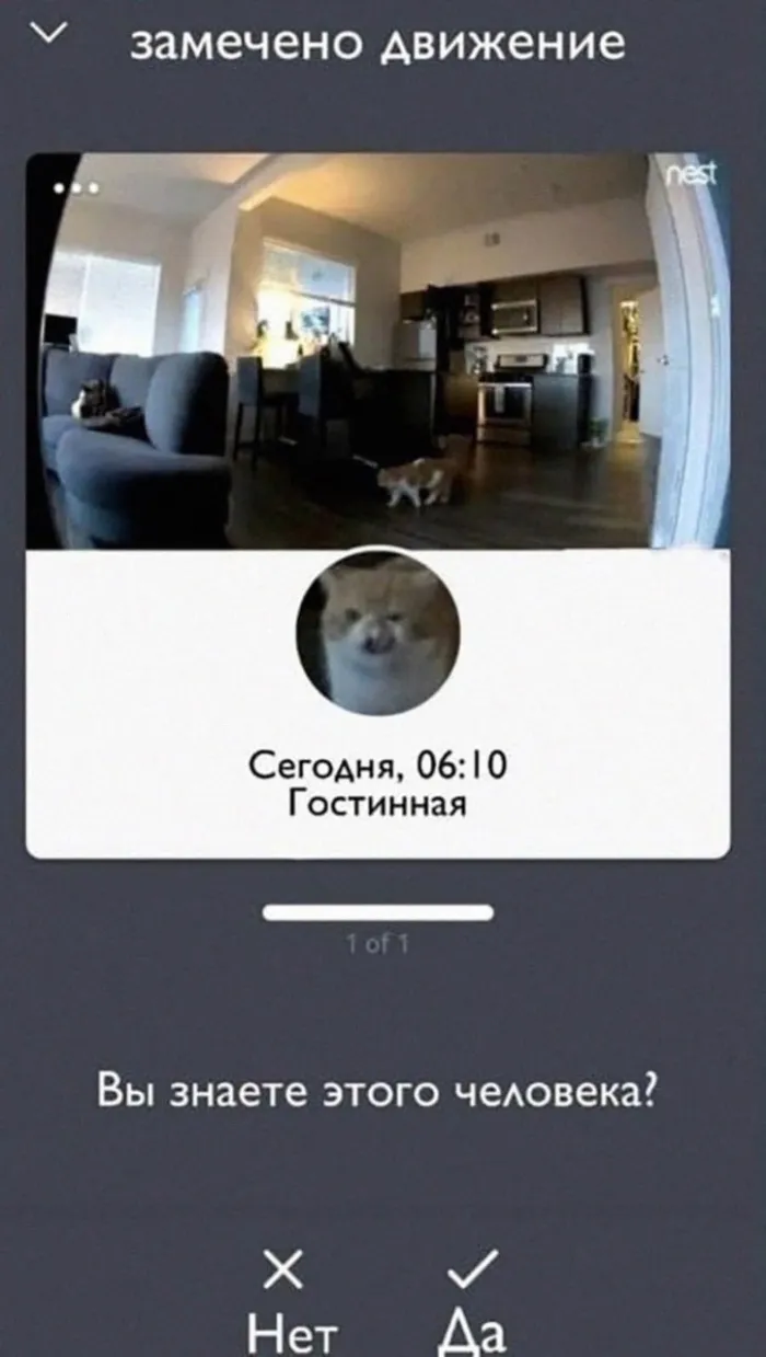 Нестандартный юмор (18/09/2023)