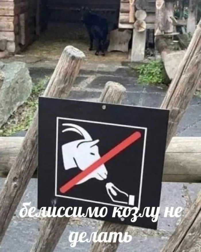 Нестандартный юмор (18/09/2023)