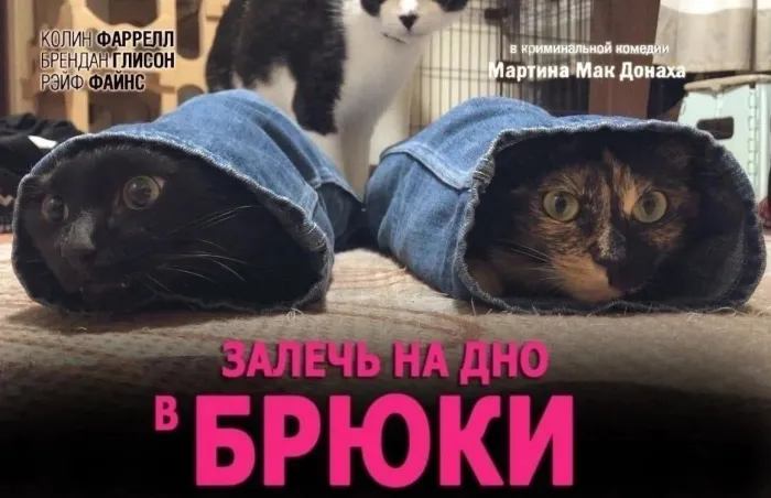 Нестандартный юмор (18/09/2023)