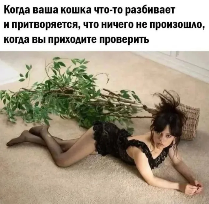 Нестандартный юмор :)
