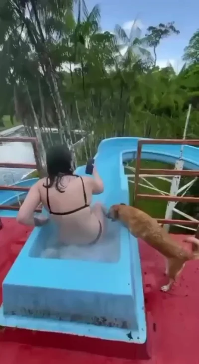 Когда за любой кипиш
