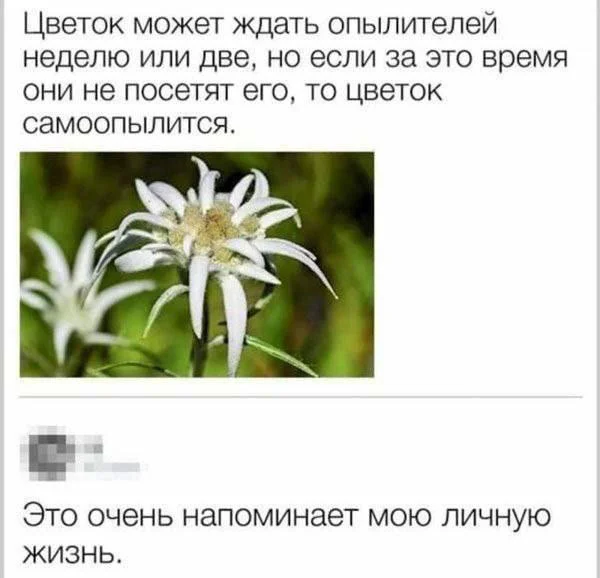 Рамки в буквах
