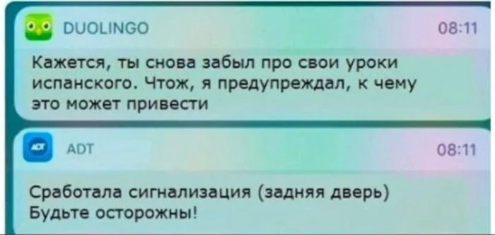 Маниакальная сова Duolingo стала маниакальным мемом
