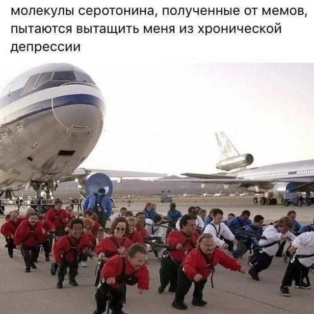Скрины из соцсетей