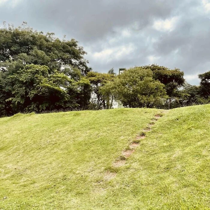 сельская дорога. идти по протоптанной дорожке. протоптанная дорожка. протоптанная тропинка. идти по протоптанной дорожке.