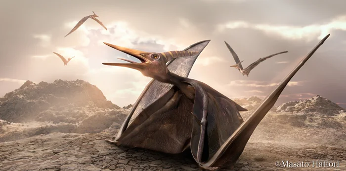Тайны птеранодона: Загадки жизни самого знаменитого летающего ящера